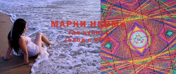 PSILOCYBIN Алзамай