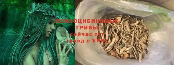 PSILOCYBIN Алзамай