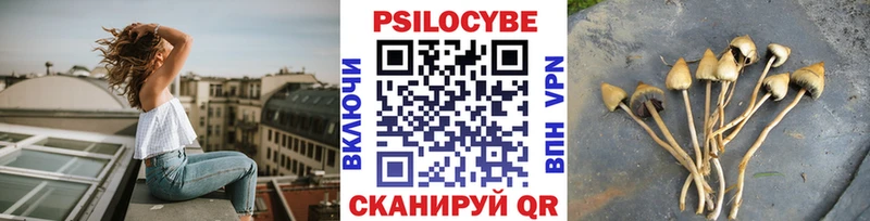 Галлюциногенные грибы Magic Shrooms  Чердынь 